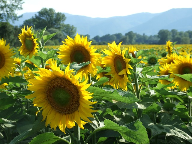 I #Tabbider lo fanno! … iniziano la giornata con il piede giusto!