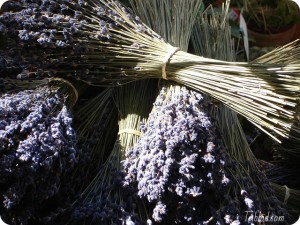 Lavanda Essicata