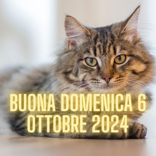 BUONA DOMENICA 6 OTTOBRE 2024