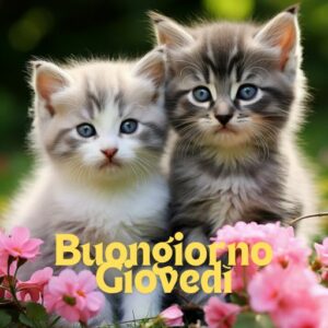 Buon Giovedì 17 