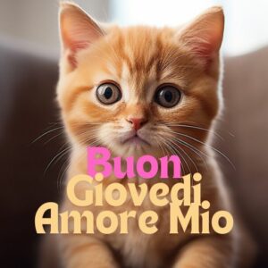 Buon Giovedi Amore Mio Giovedi 24