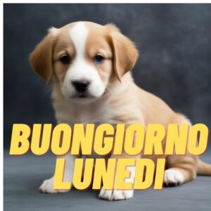 Immagini e Frasi del Buongiorno Buon Lunedì da condividere