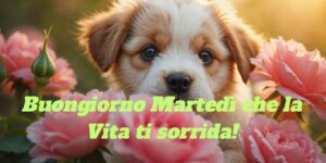 Buon Martedi