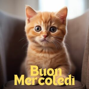 Buon Mercoledì 23 Ottobre