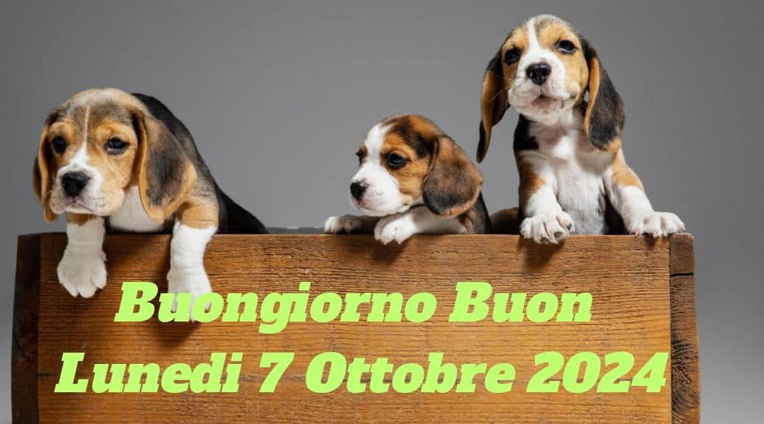 Immagini e Frasi Buongiorno e Buon Lunedì 7 Ottobre 2024: Le Più Belle da Inviare via WhatsApp