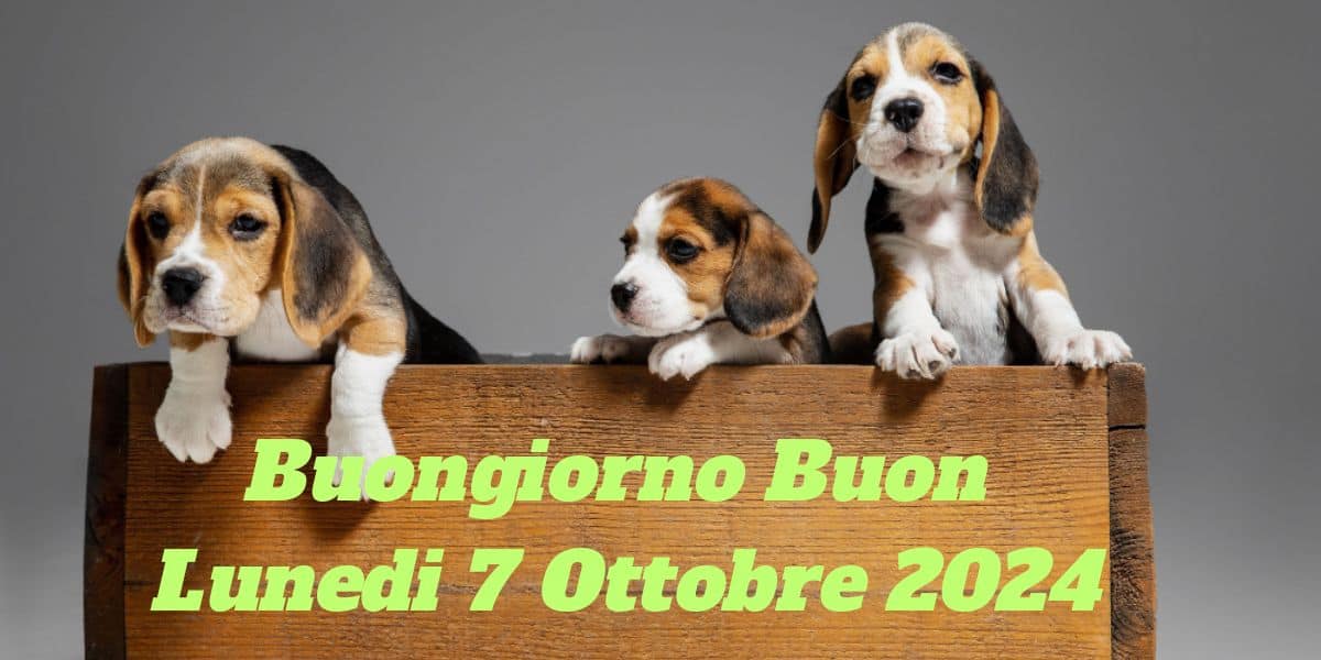 Immagini e Frasi Buongiorno e Buon Lunedì 7 Ottobre 2024