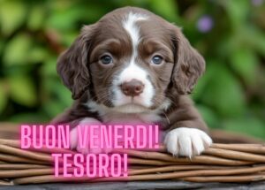 Buongiorno Immagini Nuove per Venerdì 11 Ottobre