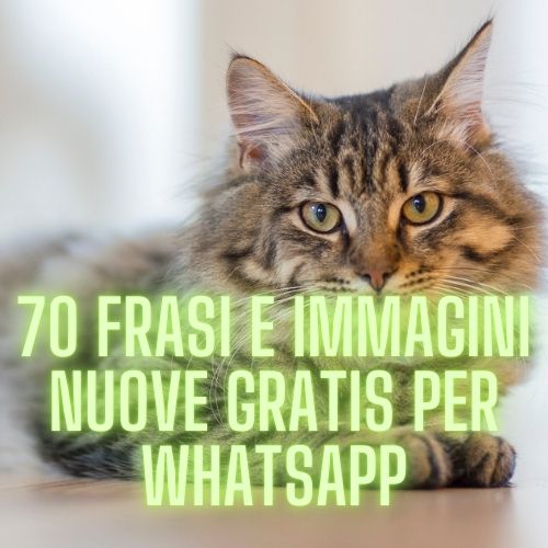 Buongiorno Sabato 5 Ottobre: 70 Frasi e Immagini Nuove Gratis per WhatsApp