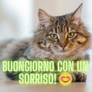 Buongiorno con un sorriso! 😊