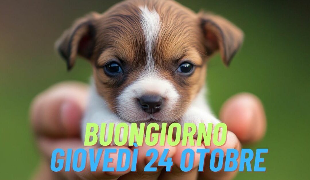 Buongiorno e Buon Giovedì 24 Ottobre 2024: Bellissime Frasi e Immagini da Condividere su WhatsApp