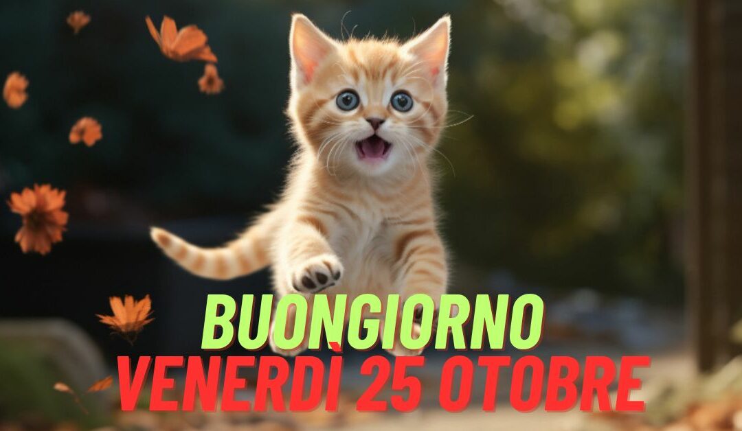 Buongiorno e Buon Venerdì 25 Ottobre 2024: Nuovissime da Condividere