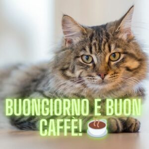 Buongiorno e buon caffè! ☕