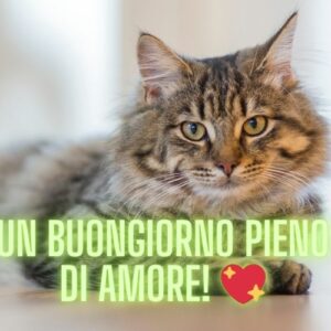 Un buongiorno pieno di amore! 💖