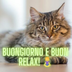 Buongiorno e buon relax! 🧘‍♀️