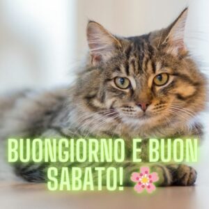 Buongiorno e buon sabato! 🌸