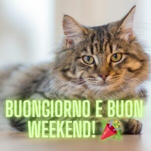 Buongiorno e buon weekend! 🎉