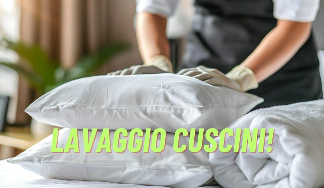 Come Lavare i Cuscini in Lavatrice per Rimuovere il Giallo: rimarrai stupita dal risultato