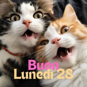 Immagini Buon lunedì 28