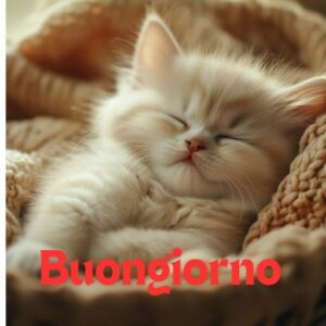 Immagini Buongiorno Martedì 15 Ottobre