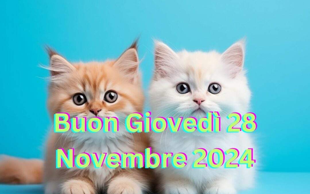 Buongiorno Buon Giovedì 28 Novembre 2024: Nuove Frasi da Condividere con gli Amici