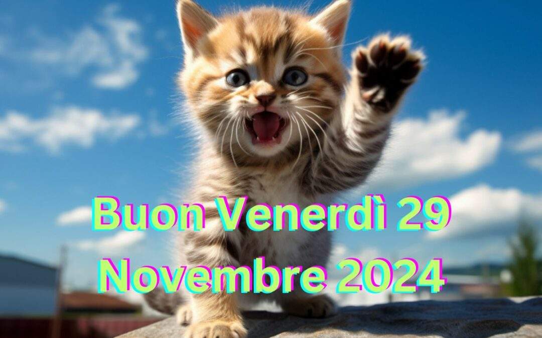 Buongiorno Buon Venerdì 29 Novembre 2024: Nuovissime Frasi da Condividere con WhatsApp