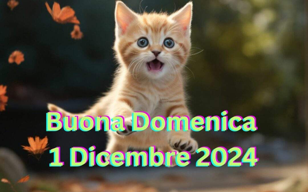 Frasi Buona Domenica 1 Dicembre 2024 da condividere con WhatsApp e Facebook.