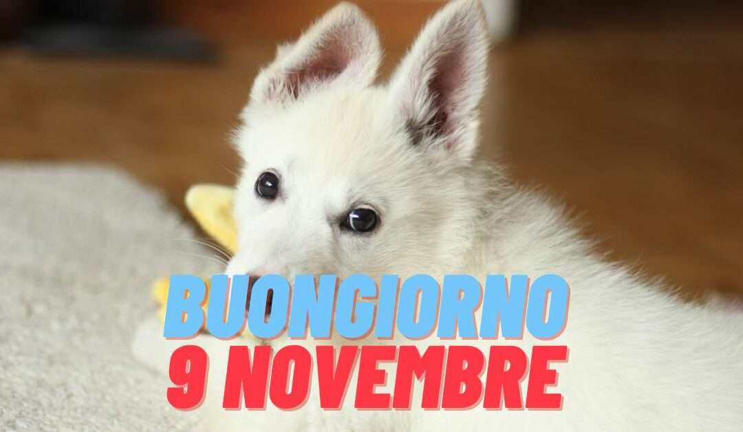 Saluta il Weekend con Stile: Frasi e Immagini per un Buongiorno Buon Sabato, 9 Novembre 2024