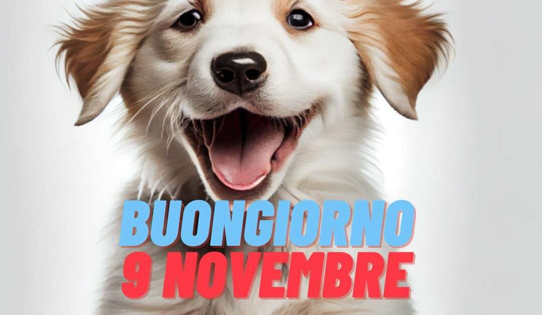 Sabato 9 Novembre 2024: Scopri e Condividi le Migliori Frasi e Immagini per un Buongiorno Speciale!