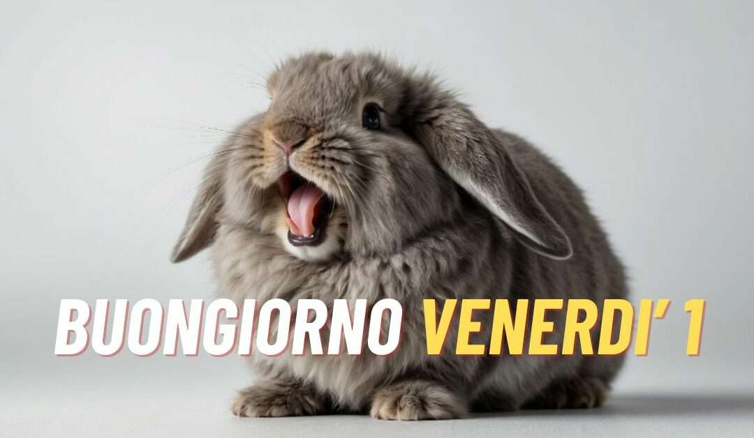 Buongiorno Venerdì 1 Novembre 2024: Immagini e Frasi da condividere