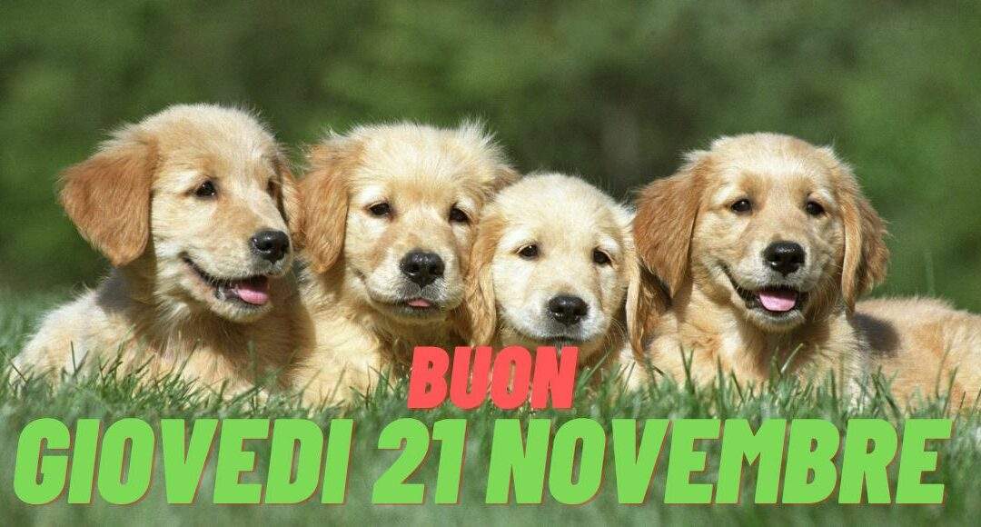 Immagini e Frasi del Buongiorno Buon Giovedì 21 Novembre 2024