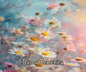 buona-domenica-10 Novembre 2024