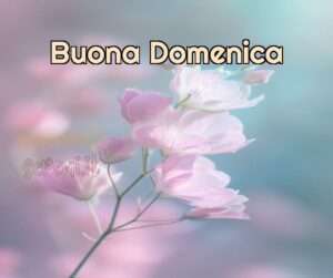 buona-domenica-10 Novembre da inviare via Whatsapp