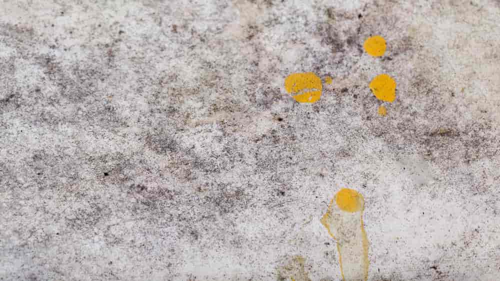 Muffa sul muro come toglierla: guida passo passo aggiornata al 2025
